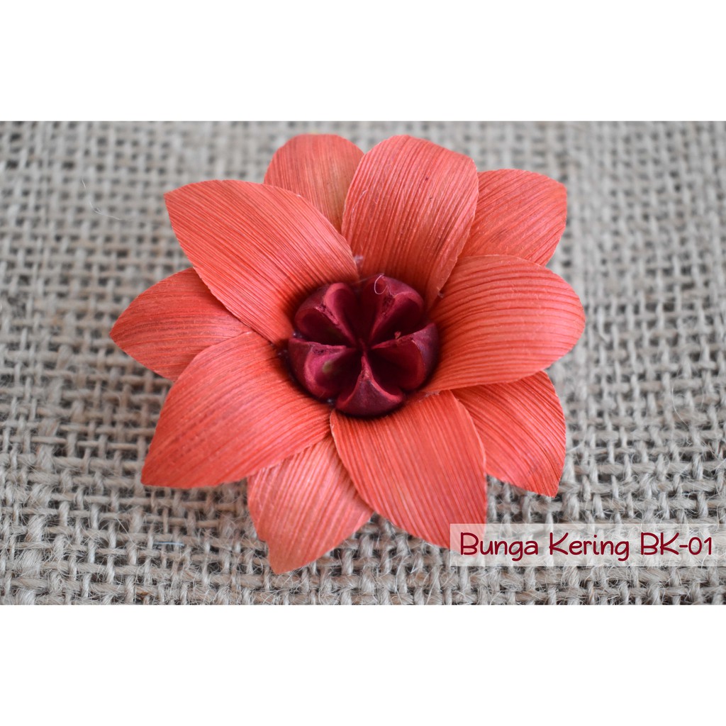 Bunga kering BK-01 (1 pcs)